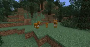 Curious-Critters-Showcase-2-1500x782 (1).webp