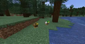 Curious-Critters-Showcase-3-1500x782 (1).webp