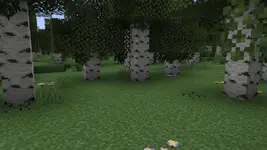 1782275069700.webp