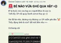 1786354605329.webp