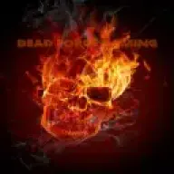 DeadForceGaming