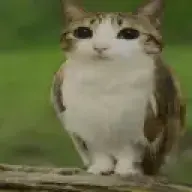 jgjhgjgjhgjhgjhgjhgjhgj