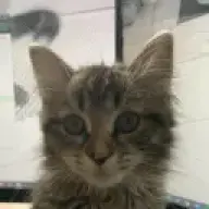 dawdawdawdawd6566454234