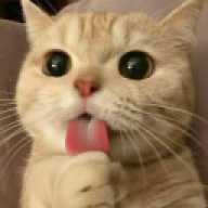 zealotmeahd