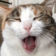 meobelnhat