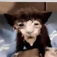 Franbot