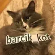 barsik__