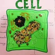 RandomUsernameXDDDD:D