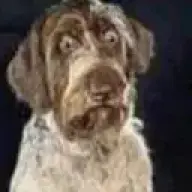 NeonsAltAccountIsntFunny