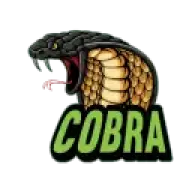 CobraLeak