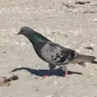 TheSuperCoolServerHost