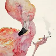 Flamingo