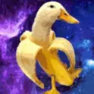 nighttheduck