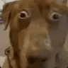 Kanak69