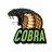 CobraLeak