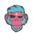novamonkey