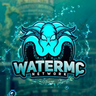 WaterMC Source Codes