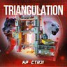 Triangulation 1.1.0