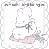 ✨୨✚୧ MochiBreeding ୨✚୧✨[1.17-1.21.X]