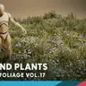 Foliage VOL.17 - Ground Plants (Low Poly)