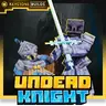 Undead Knight Boss & Minion