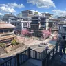 Japanese Neighborhoods