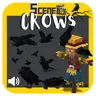Scenes - Crows - Environment