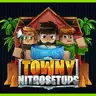 Premium Towny Setup | NitroSetups