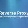 Reverse Proxy for Pterodactyl