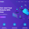 Vnox Hosting Website