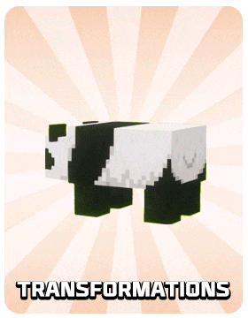 [IMG]