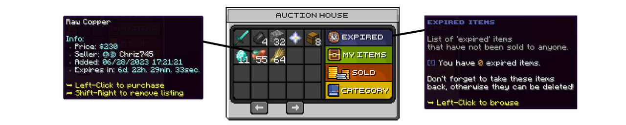 auction1.png