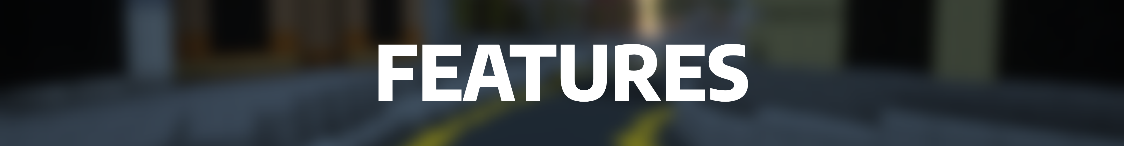 features.png