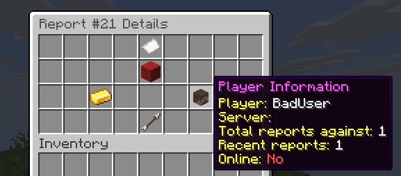 report_details_gui.jpg