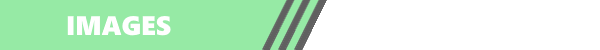 images.png